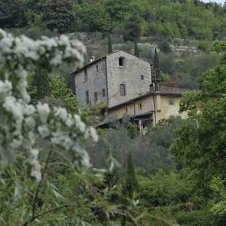 바뇨아리폴리 Le Tre Colombe B&B 외부 사진